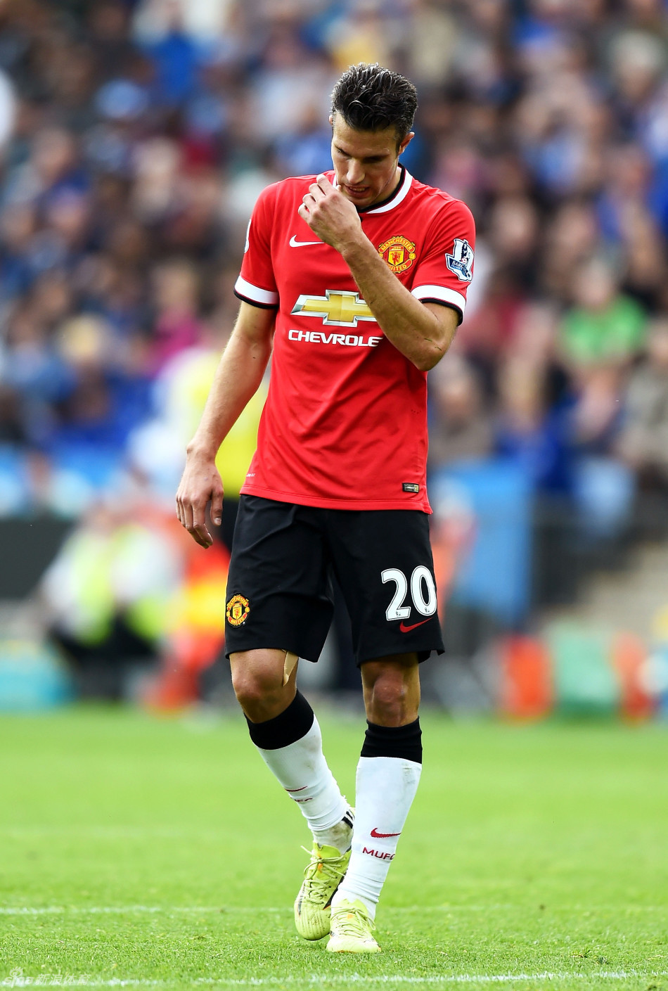 外媒：墨西哥一座世界杯球场附近挖出至少456袋人体遗骸（外媒：墨西哥世界杯球场附近发现至少456袋人类遗骸）